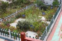 污水处置设备工艺选择时思考的成分